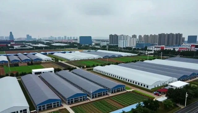 内容质量提升中的常见问题与优化策略